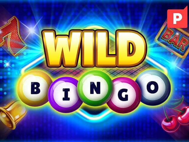 win1 Bingo Selvagem